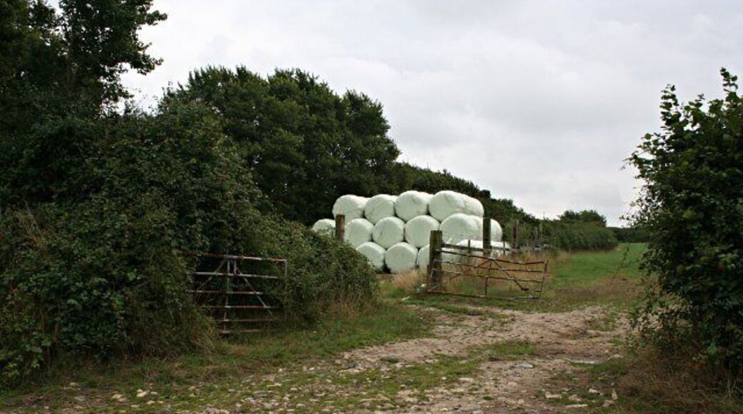 Silage bales at the field edge. These piles of bales wrapped in plastic are a common sight in the countryside.