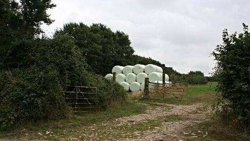 Silage bales at the field edge. These piles of bales wrapped in plastic are a common sight in the countryside.
