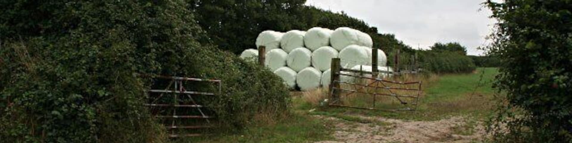 Silage bales at the field edge. These piles of bales wrapped in plastic are a common sight in the countryside.
