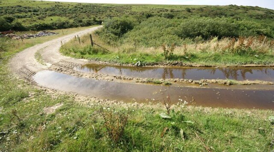 Flooded Track near Tregragon