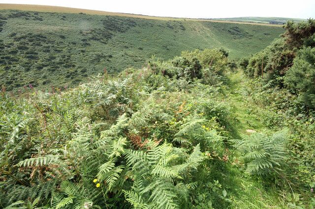 Footpath near Tregragon This rather overgrown path leads from Tregragon Farm to the Coastal path near Jacket's Point