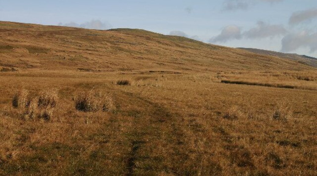 Bridleway Across Tongue How. Clear and easy to follow in good weather.