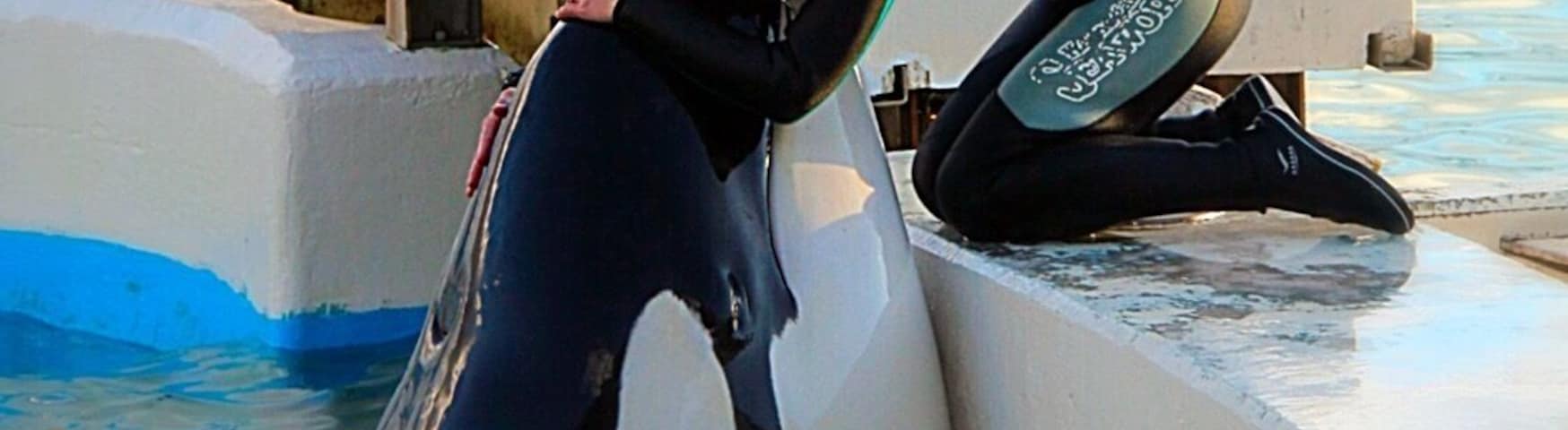 She loves her KILLER WHALE!
And her KILLER WHALE loves Her!