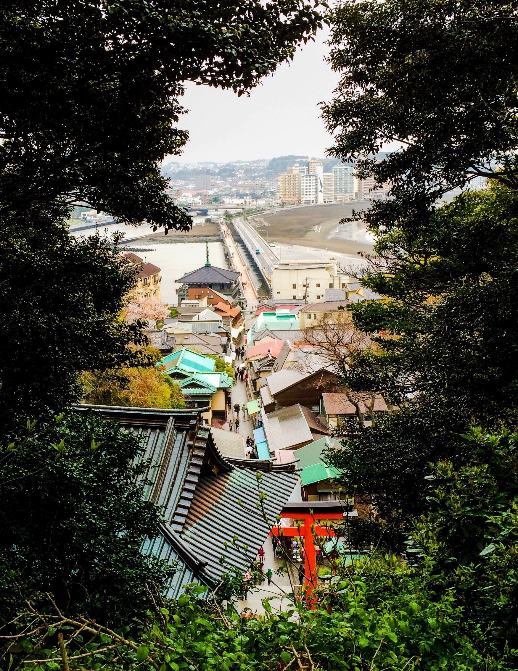 View from Enoshima Island, Japan off the Shonan Coast. Only an hour train ride away from Tokyo. It has beautiful shrines, views of Mt. Fuji, caves, tide pools, gardens, the Sea Candle, restaurants, shops, and lots of stairs. 
#StunningStructures