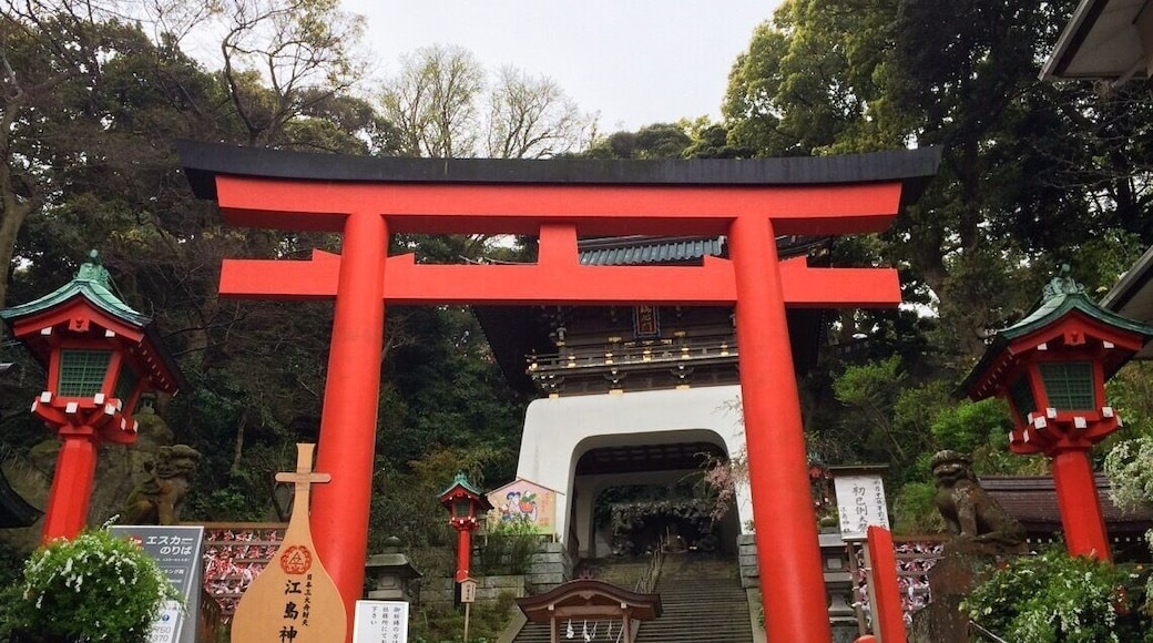 Enoshima Island is one of my favorite places to explore. It has beautiful shrines, views of Mt. Fuji, caves, tide pools, gardens, the Sea Candle, restaurants, onsen, and shops. There are a lot of stairs, but you can purchase a ticket for the up-only escalators if you need it.
#Enoshima
#Torii
#StunningStructures
#Japan
#stairs