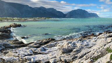 A beautiful stop off on the Garden Route and a great place to see penguins up close ❤️🐧
#blue