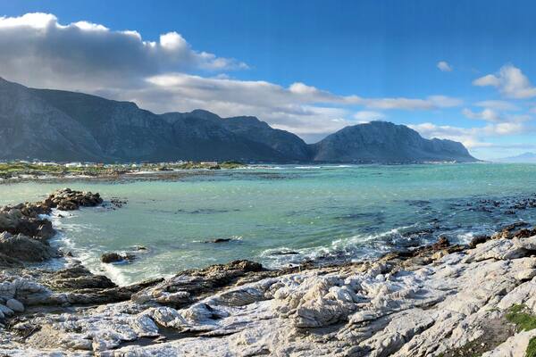 A beautiful stop off on the Garden Route and a great place to see penguins up close ❤️🐧
#blue