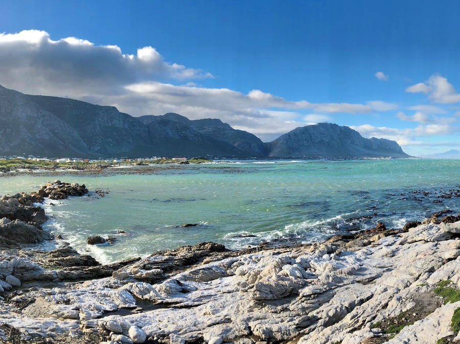 A beautiful stop off on the Garden Route and a great place to see penguins up close ❤️🐧
#blue