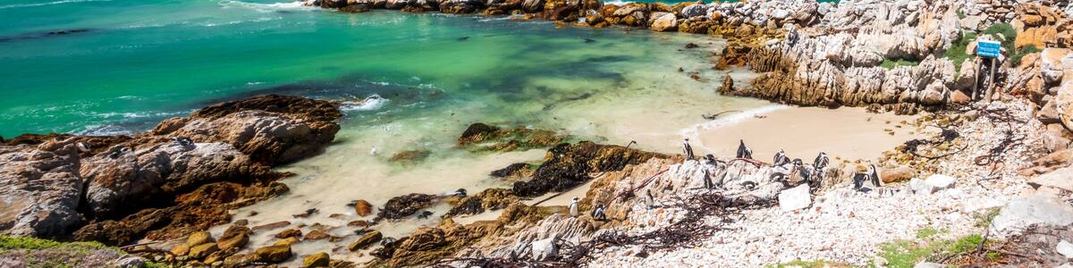 A rocky coastline with clear turquoise waters, a sandy beach, and a mountain in the background.