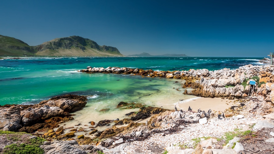 Una costa rocosa con aguas turquesas cristalinas, una playa de arena y una montaña al fondo.