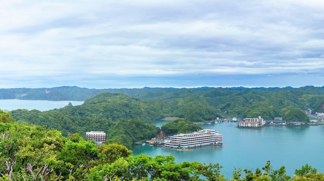 Beautiful panoramic views of the Pacific Ocean and the Katsuura harbour , Wakayama , Japan