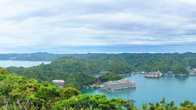 A coastal city with a harbor, surrounded by mountains and dense greenery.