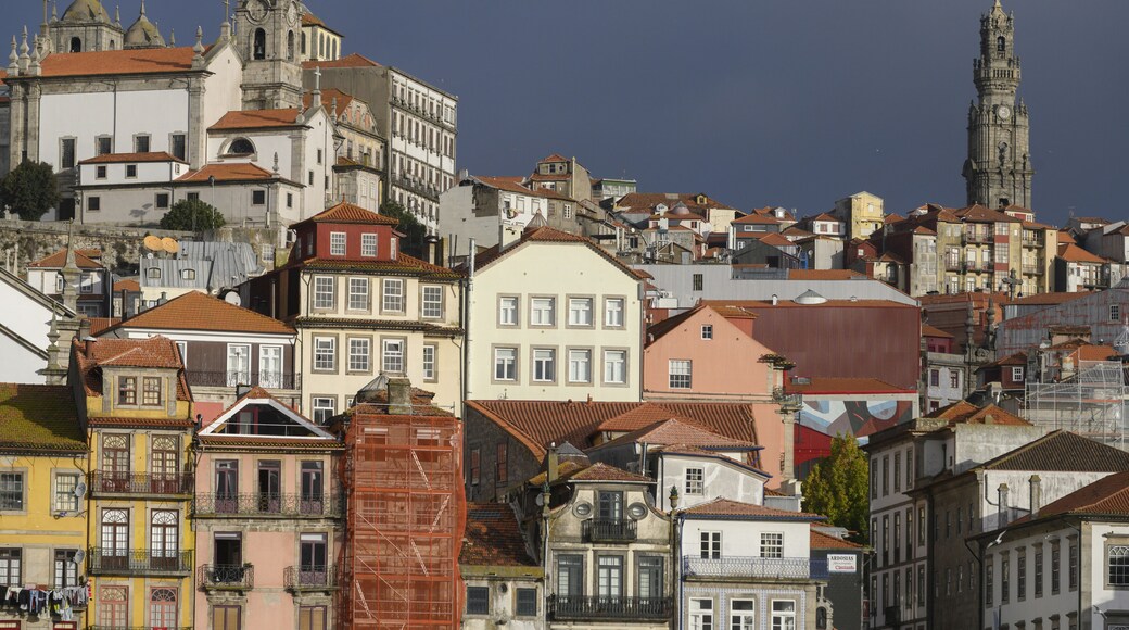 Buildings in a city, Santa Marinha, Ribeira De Pena, Porto, Portugal