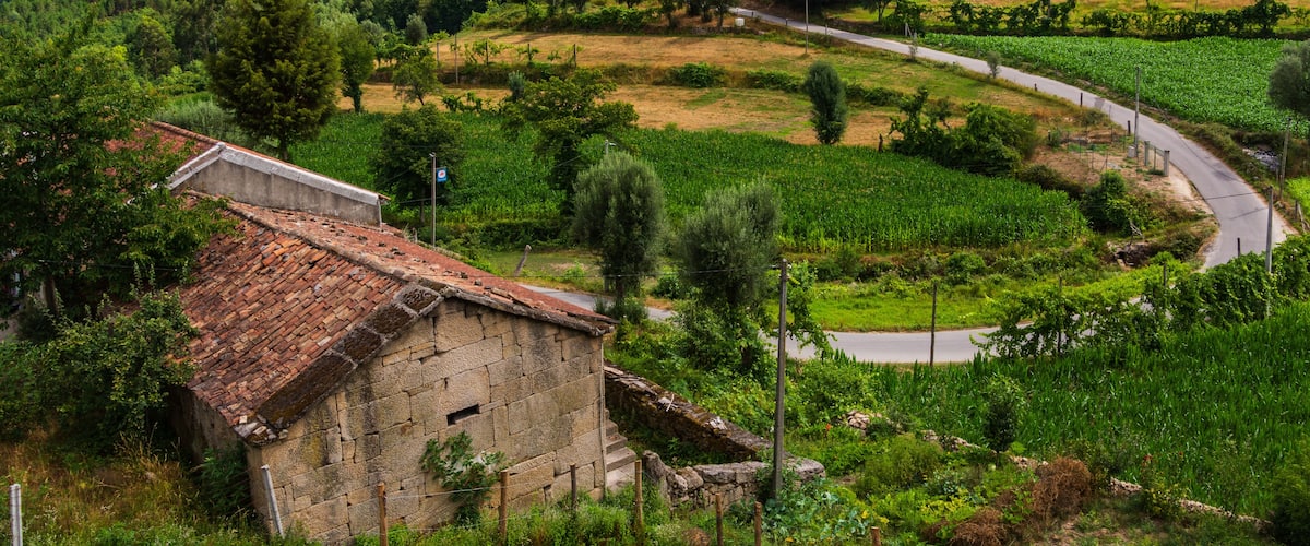 Portugal - Ribeira de Pena - Limoes Mountainview