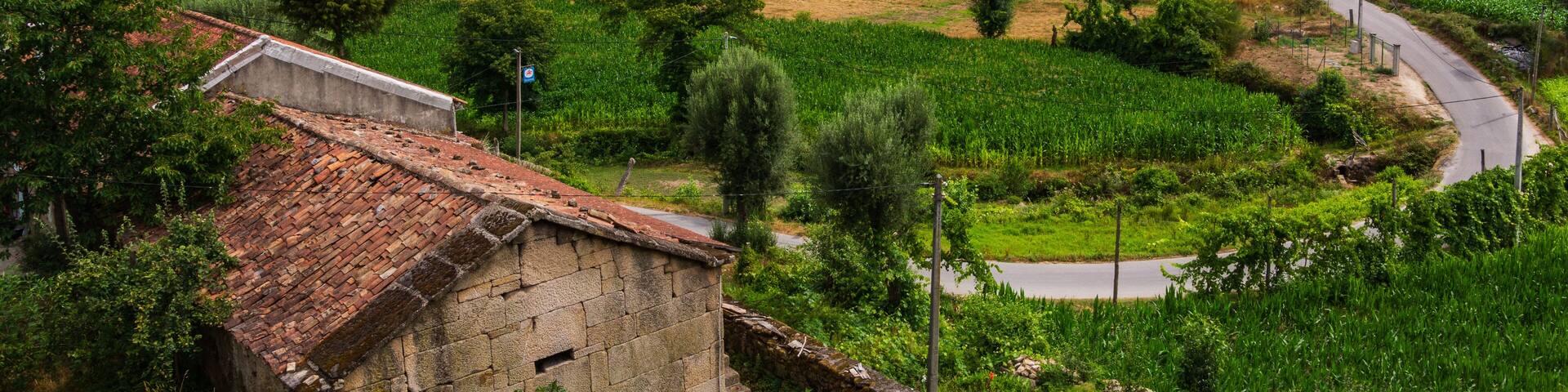 Portugal - Ribeira de Pena - Limoes Mountainview