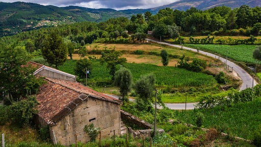Portugal - Ribeira de Pena - Limoes Mountainview