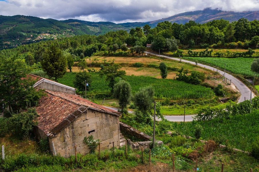 Portugal - Ribeira de Pena - Limoes Mountainview