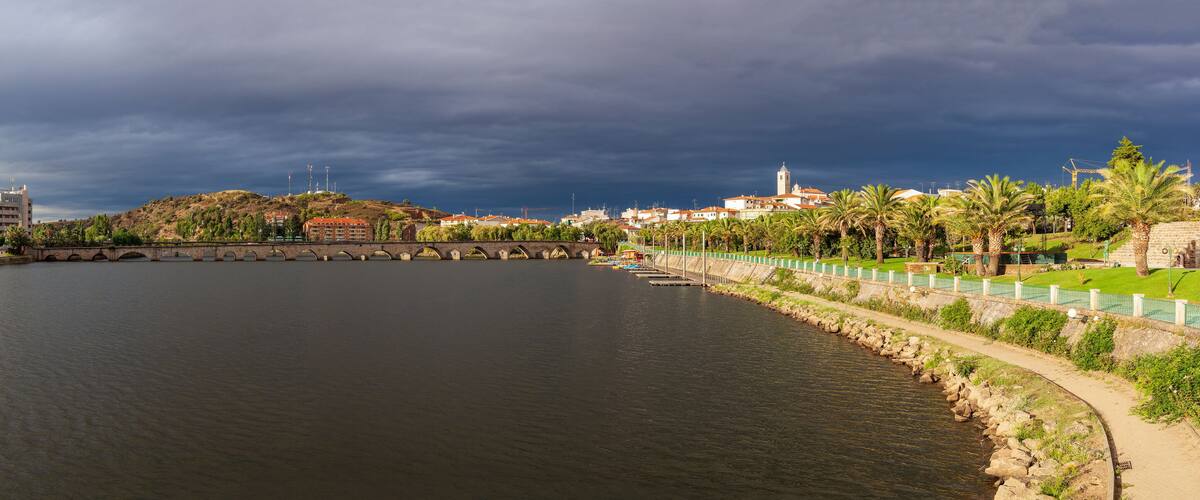 A river with a stone bridge, a park with palm trees, and buildings in the background.