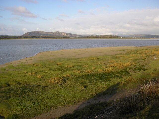Kent estuary, Sandside Whitbarrow Scar prominent with snow on the fells around Kentmere to its right. That snow will eventually melt and flow past this point.