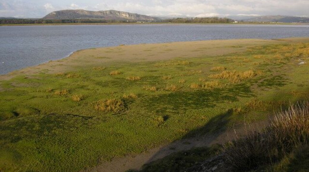 Kent estuary, Sandside Whitbarrow Scar prominent with snow on the fells around Kentmere to its right. That snow will eventually melt and flow past this point.