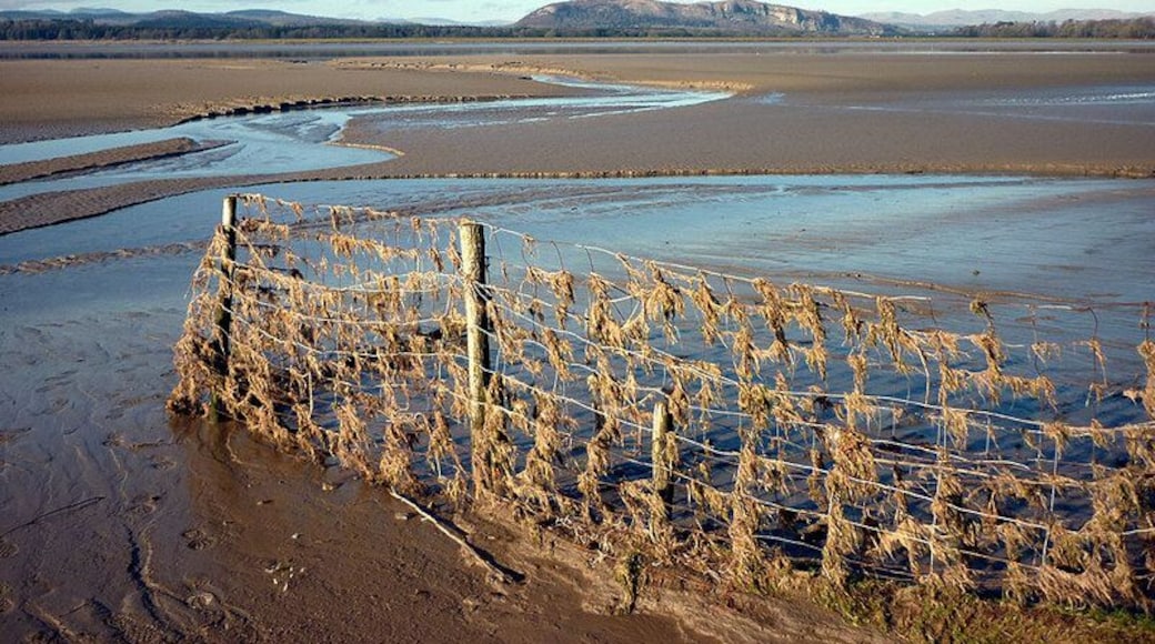 Fence, Sandside, near to Storth, Cumbria, Great Britain. To prevent grazing sheep leaving salt marsh, a good trap for debris in the tidal River Kent. Whitbarrow Scar and the Lakeland fells beyond.
