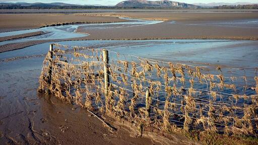 Fence, Sandside, near to Storth, Cumbria, Great Britain. To prevent grazing sheep leaving salt marsh, a good trap for debris in the tidal River Kent. Whitbarrow Scar and the Lakeland fells beyond.