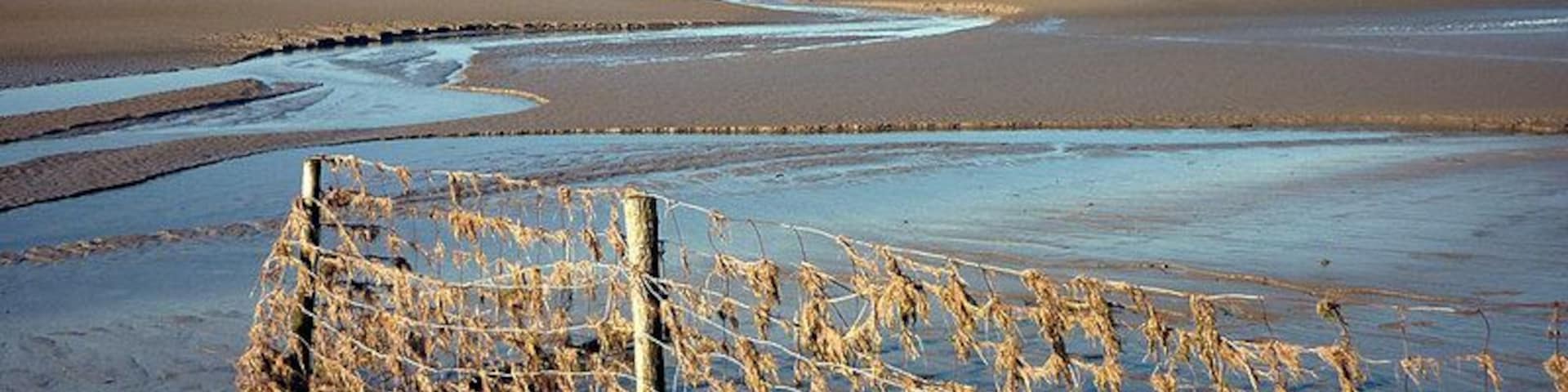 Fence, Sandside, near to Storth, Cumbria, Great Britain. To prevent grazing sheep leaving salt marsh, a good trap for debris in the tidal River Kent. Whitbarrow Scar and the Lakeland fells beyond.