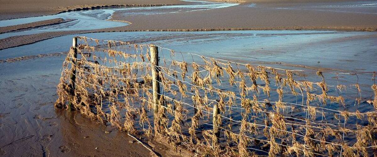 A flooded landscape with a dried-out fence and distant hills.