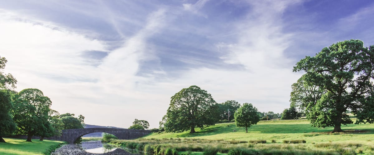 A stone bridge over a calm river, surrounded by lush green fields and trees.