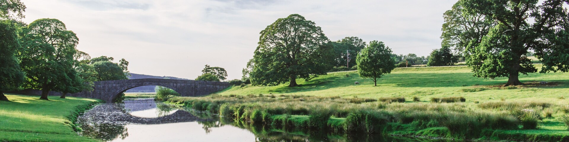 A stone bridge over a calm river, surrounded by lush green fields and trees.