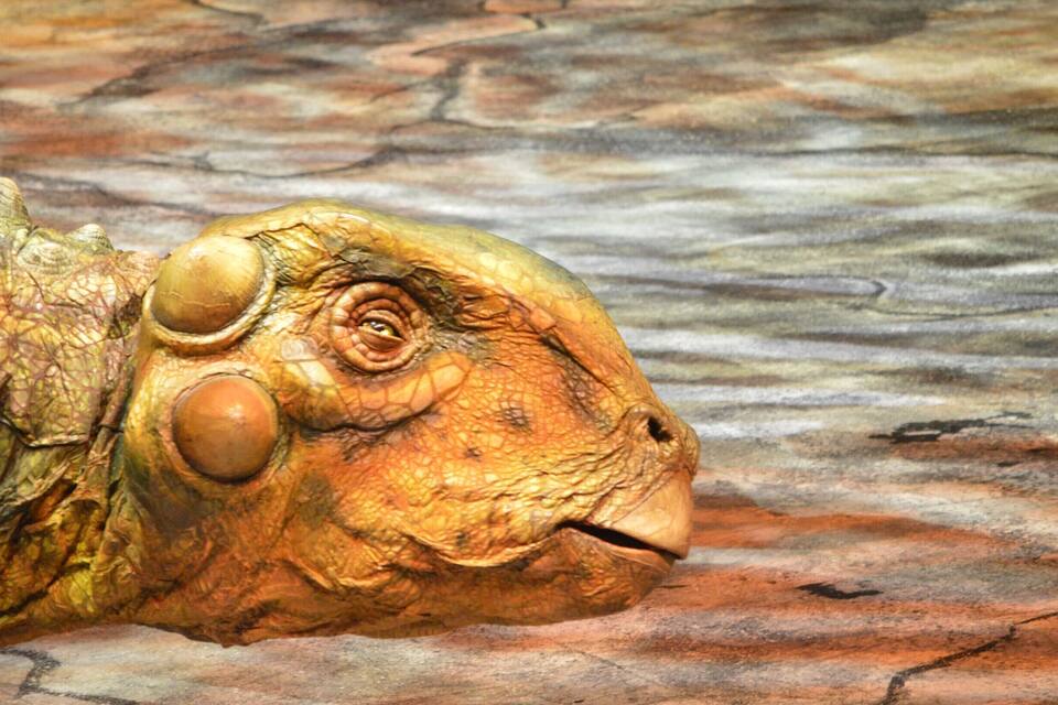 Uma escultura detalhada de um peixe, com escamas texturizadas e olhos proeminentes.