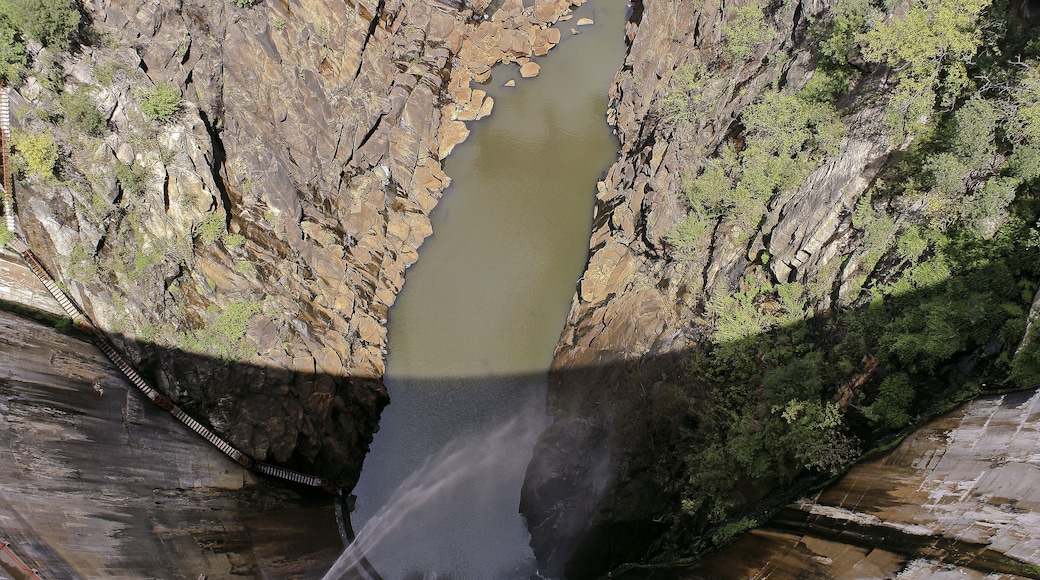 Département de Calingasta