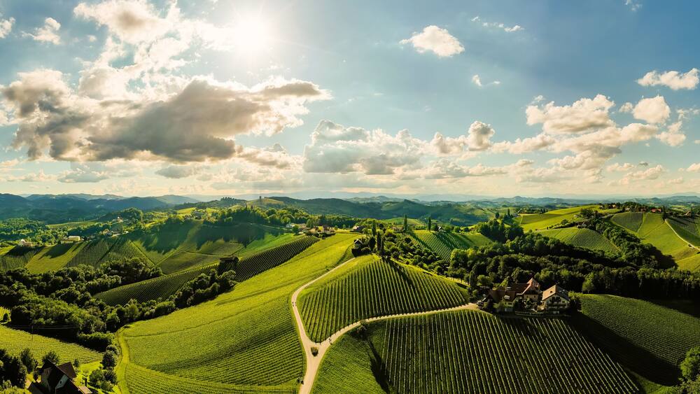 Vineyards panorama Leibnitz area famous destination wine street in south Styria in summer.