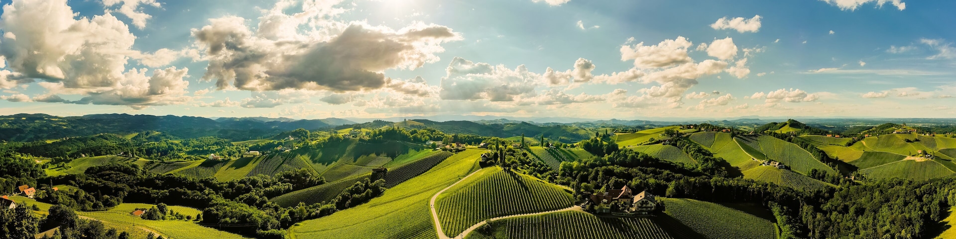 A vineyard landscape with rolling hills and scattered houses.