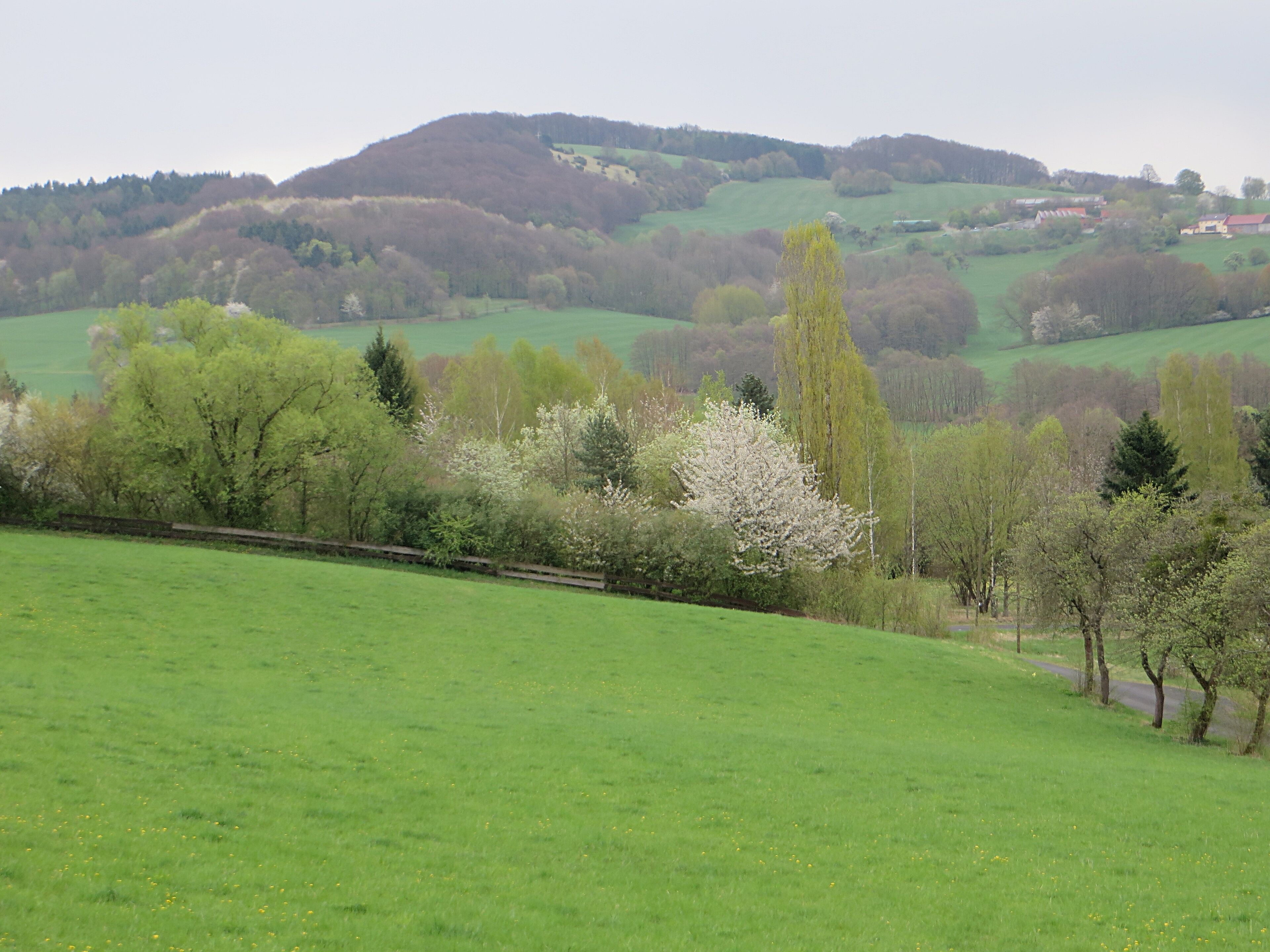 Blick vom Weinberg bei Dietershausen ostsüdostwärts zum Giebelrain. Milseburger Kuppenrhön, Landkreis Fulda