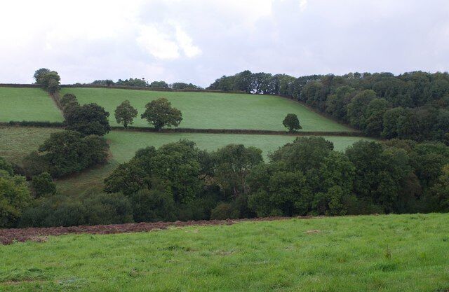 Valley north of Monkokehampton The valley carries a tributary of the River Okement. On the right is Ford's Cleave Wood. Seen from the lane between Monkokehampton and Barwick.