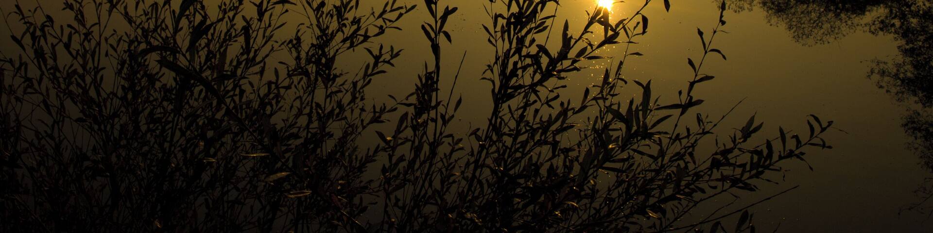 Sunrise over Tanners lake at Stafford Moor in Devon