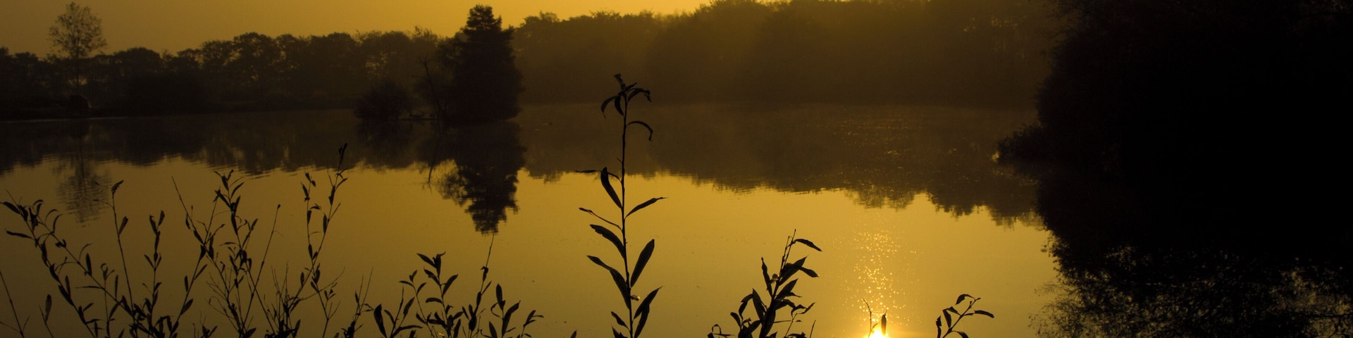Sunrise over Tanners lake at Stafford Moor in Devon