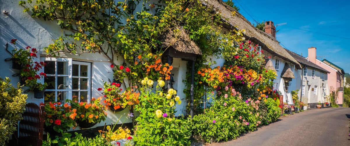 A quaint white cottage with a thatched roof, surrounded by vibrant flowers and lush greenery.