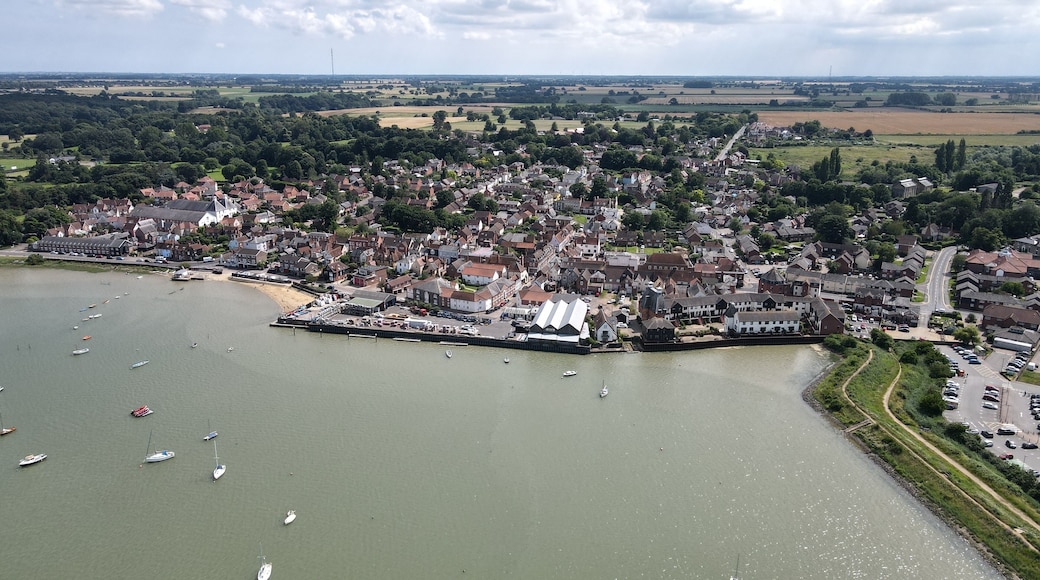 แมนนิงทรี