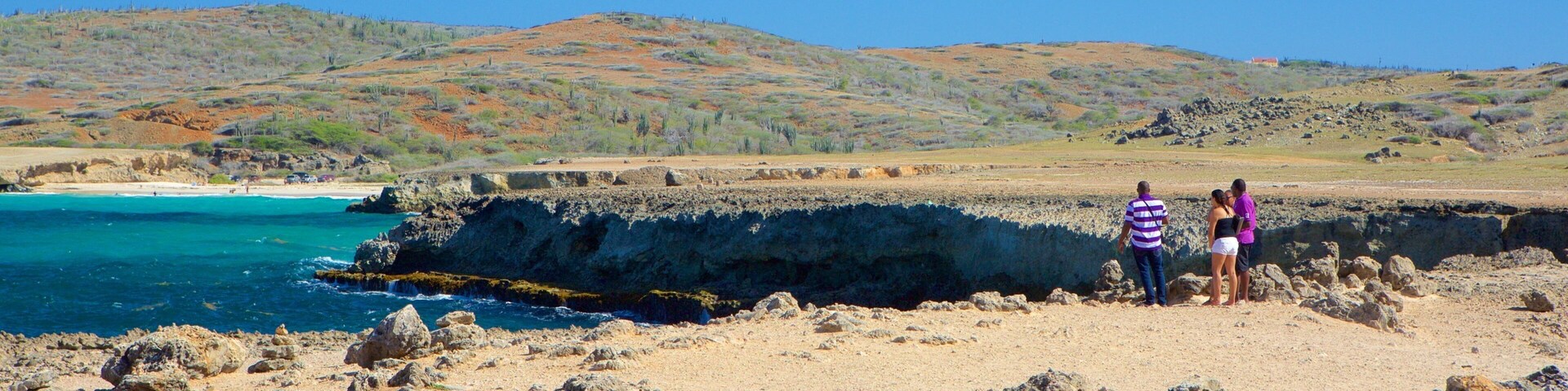 Puente natural de Boca Andicuri ofreciendo vistas de una costa