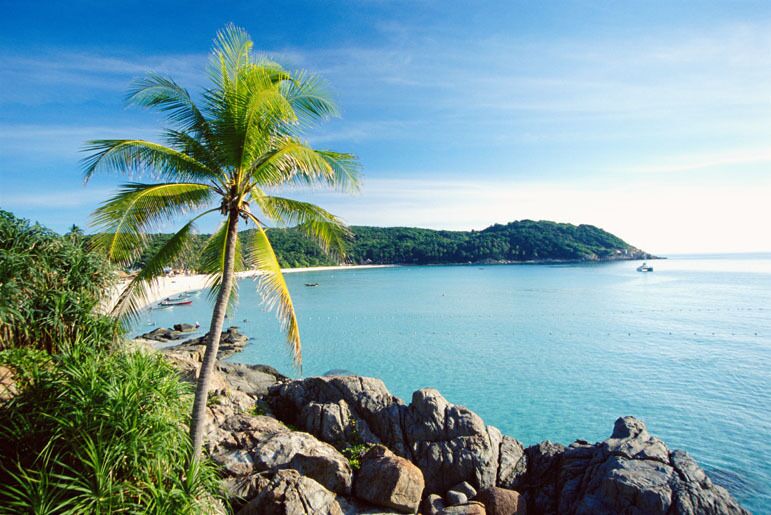 A palm tree, rocky shoreline, calm sea, and a distant island.