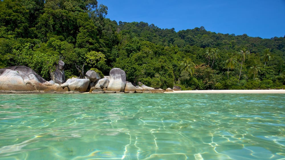 A beach with clear turquoise water, large boulders, and dense green forest.