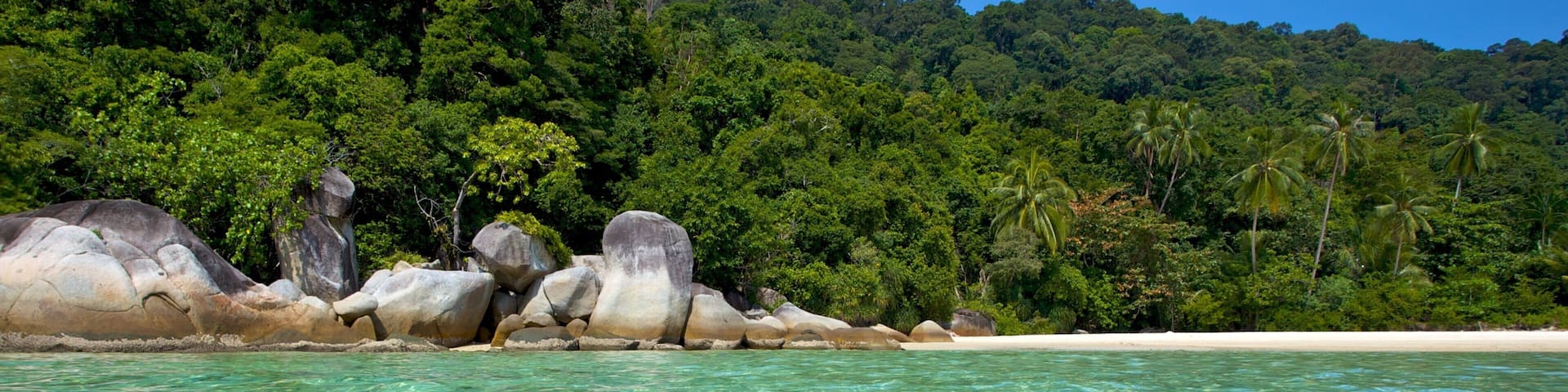 A beach with clear turquoise water, large boulders, and dense green forest.
