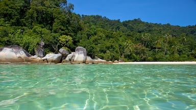 Una playa con agua turquesa cristalina, grandes rocas y un bosque verde exuberante.
