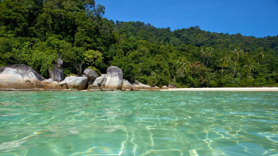 A beach with clear turquoise water, large boulders, and dense green forest.