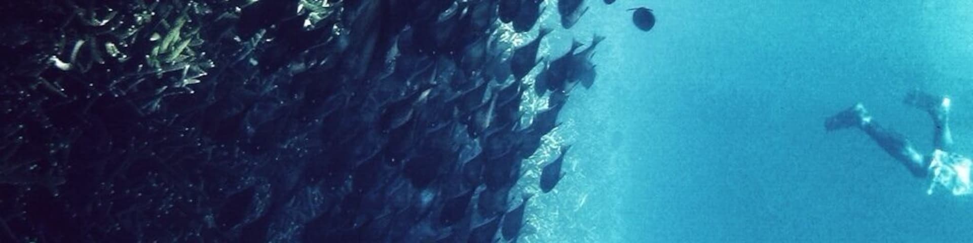 Free-diving in Perhentian.