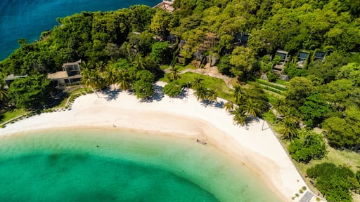 Eine Vogelperspektive eines tropischen Strandes mit klarem türkisblauem Wasser, weißem Sand und üppiger Vegetation.