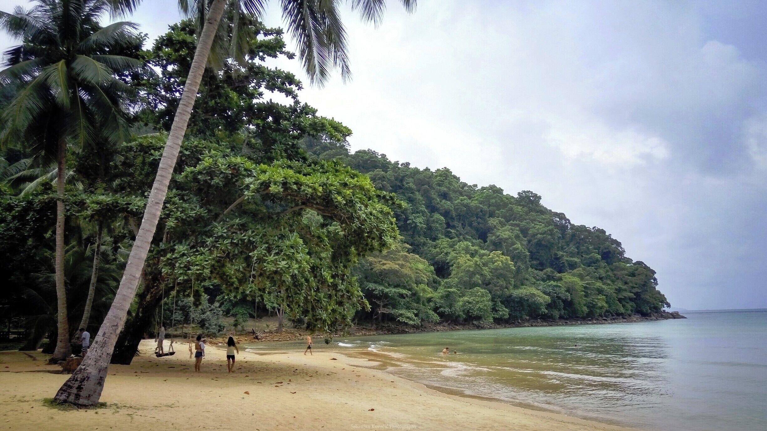 A beach with palm trees and a forested hill in the background.