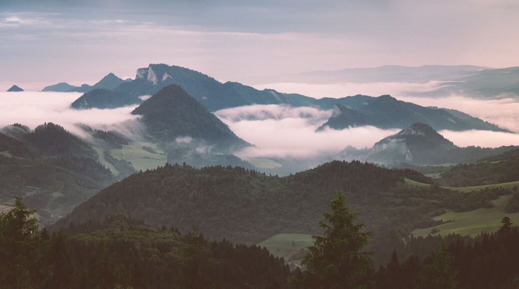 Pieniny national park at summer during morning inversion. This photo was taken from peak called Wysoki wirch (aka High peak) which is at Slovak / Poland borders. At distance you can see majestic Tri Koruny (aka Three crowns).
#nature